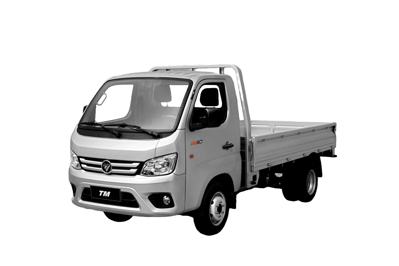 Selected Model